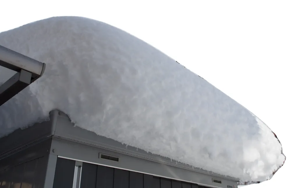 202年の2月8日の降雪状況